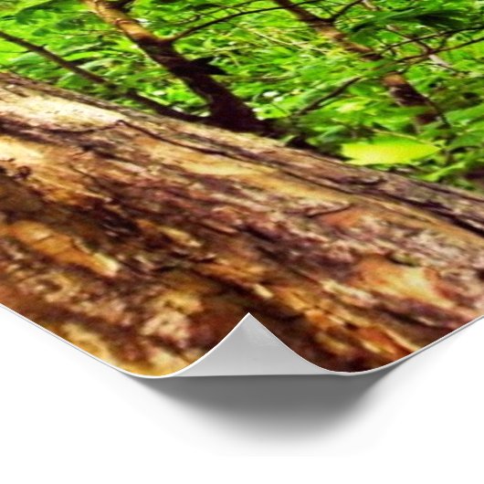 Blarney Greenwood Print (Hoek)