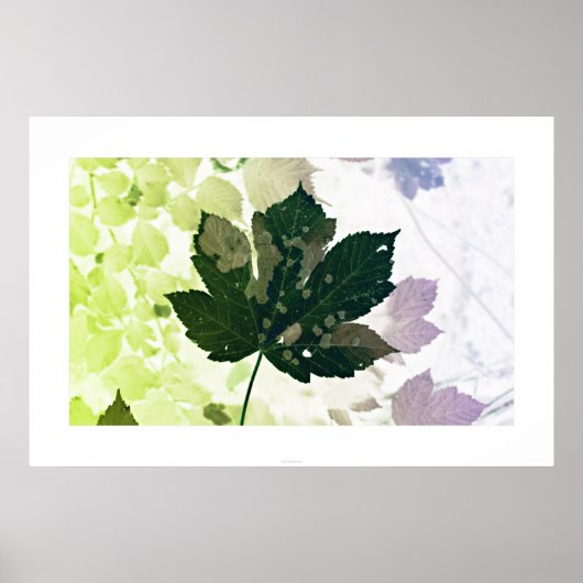 Blatt Poster (Voorkant)