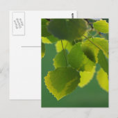 Blätter Wellness Briefkaart (Voorkant / Achterkant)