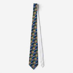 blauaras parrot stropdas