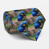 blauaras parrot stropdas (Opgerold)