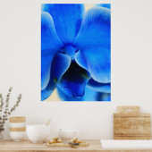 Blaue Orchide Poster (Keuken)