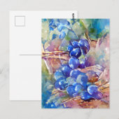 Blaue Weintrauben gemalt Briefkaart (Voorkant / Achterkant)