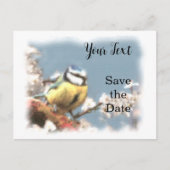 Blaumeise - Aquarell-Design | Postkarte Briefkaart (Voorkant)