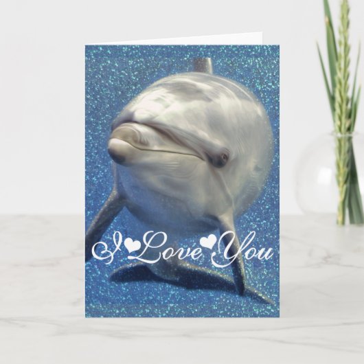 Blauw Afbeelding I van de Foto van de Dolfijn van Kaart (Voorkant)