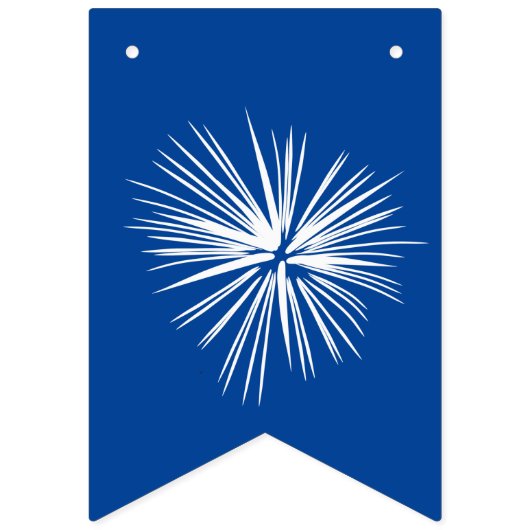 Blauw | Afstudeerder-inktvlaggen met vuurwerk Vlaggetjes (Eerste vlag)