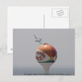 BLAUW ANGELS WEEKEND, Fotografie, o.a.. Briefkaart (Voorkant / Achterkant)