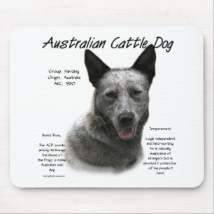 Blauw Australisch vee Hond Geschiedenis; Blauw ACD Muismat