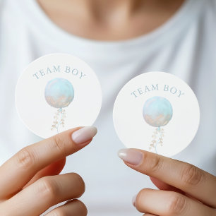 Blauw Ballon Team Jongen Geslacht Reveal Feest Ronde Sticker