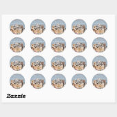 Blauw Bedankt Katten Honden Ronde Sticker (Vel)