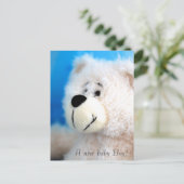 Blauw Beer Aankondigingskaart (Staand voorkant)