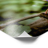 Blauw Beer Foto Afdruk (Hoek)