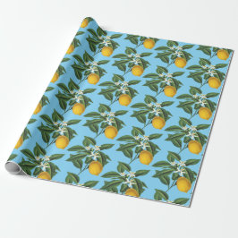 blauw blauw blauw blauw blauw van het laagje frui cadeaupapier