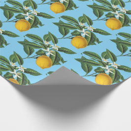 blauw blauw blauw blauw blauw van het laagje frui cadeaupapier