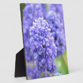 Blauw blauw fotoplaat (Zijkant)