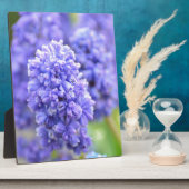 Blauw blauw fotoplaat (Zijkant)