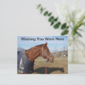 Blauw blauw Zee - Ik hoop dat u hier Briefkaart wa (Staand voorkant)