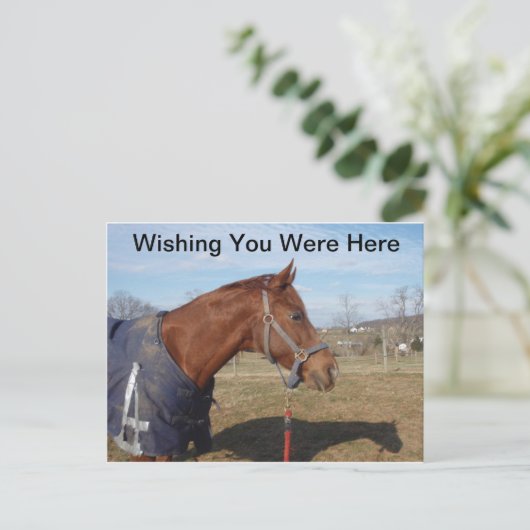 Blauw blauw Zee - Ik hoop dat u hier Briefkaart wa (Staand voorkant)