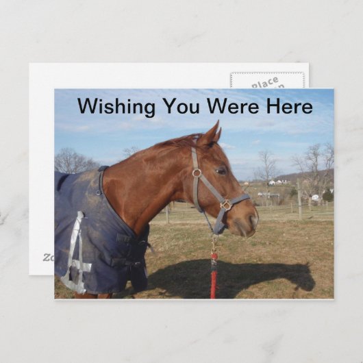 Blauw blauw Zee - Ik hoop dat u hier Briefkaart wa (Voorkant / Achterkant)