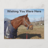 Blauw blauw Zee - Ik hoop dat u hier Briefkaart wa (Voorkant)