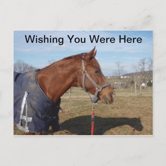 Blauw blauw Zee - Ik hoop dat u hier Briefkaart wa (Voorkant)