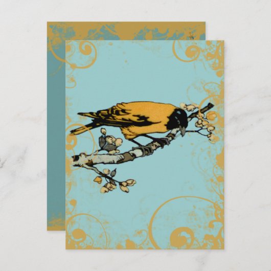 Blauw Blauwgroen en Goudgeel  Vogel Briefkaart (Voorkant / Achterkant)