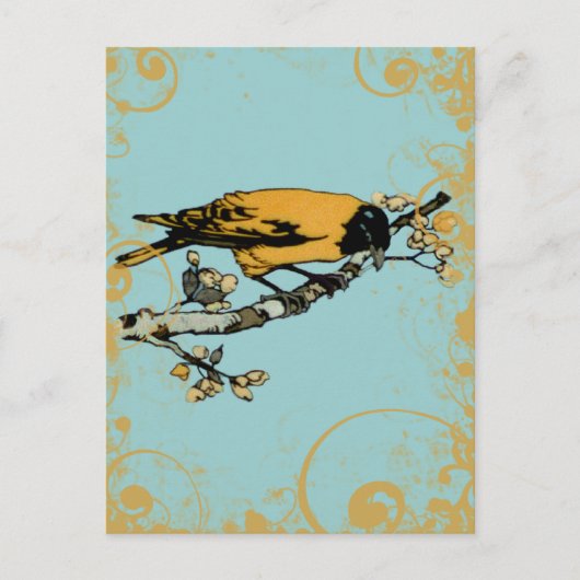 Blauw Blauwgroen en Goudgeel  Vogel Briefkaart (Voorkant)