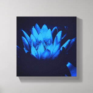 Blauw Bloeiende Waterlelie Lotus Bloem Abstract Canvas Afdruk