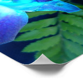 blauw bloemen Natuur Poster (Hoek)