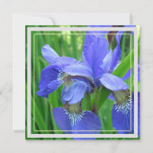 blauw , bloemen , uitnodiging (Achterkant)