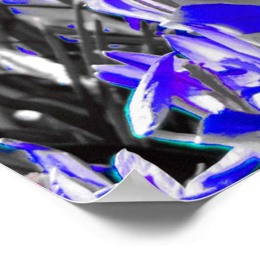 Blauw bloemveld poster (Hoek)