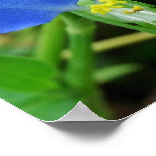 blauw bloemvierkantje poster (Hoek)