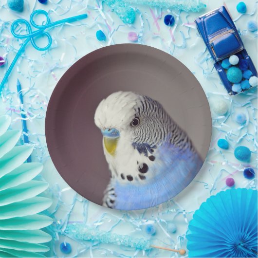 blauw boedgie-fotopapier Bord (Feest)