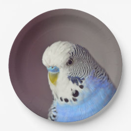  blauw boedgie-fotopapier Bord