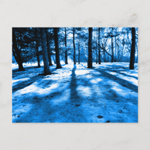 Blauw bos bomen schaduwen en licht briefkaart