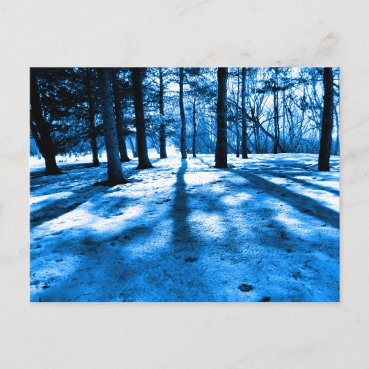 Blauw bos bomen schaduwen en licht briefkaart (Voorkant)