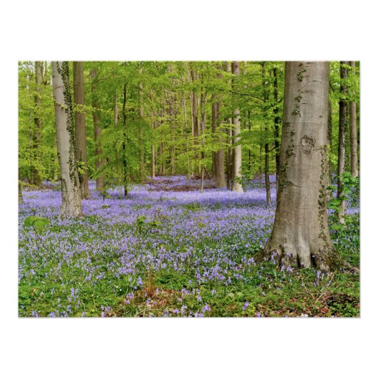 Blauw bos met blauwe bloemen perfect poster (Voorkant)
