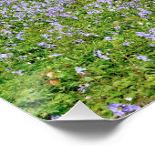 Blauw bos met blauwe bloemen perfect poster (Hoek)