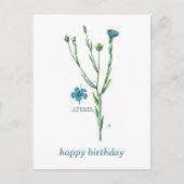 Blauw Botanisch Bloemen Vlas Linum Verjaardag Briefkaart (Voorkant)