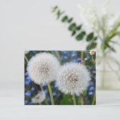 blauw, boterbloem, plant, paardenbloem, weide, wit briefkaart (Staand voorkant)