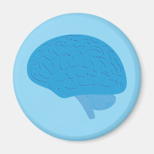 Blauw Brein Magneet