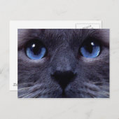 blauw briefkaart (Voorkant / Achterkant)