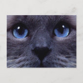 blauw briefkaart (Voorkant)