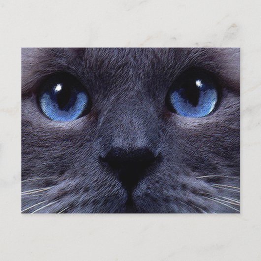 blauw briefkaart (Voorkant)