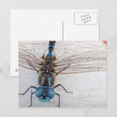 Blauw Briefkaart (Voorkant / Achterkant)