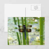 Blauw Briefkaart (Voorkant / Achterkant)