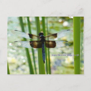 Blauw Briefkaart