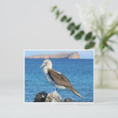 blauw briefkaart (Staand voorkant)