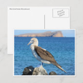 blauw briefkaart (Voorkant / Achterkant)