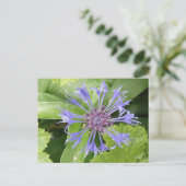 Blauw Briefkaart van Cornflower (Staand voorkant)
